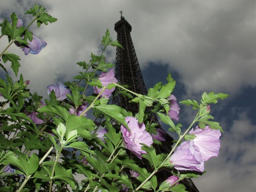 Paris marathon 7.4.2024